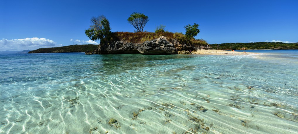 Snorkeling mania