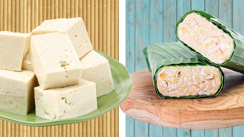 Tempeh & Tofu: The Indonesian Superfoods You’ve Been Eating All Wrong Tempeh & Tofu: The Indonesian Superfoods You’ve Been Eating All Wrong